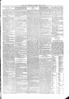 Kildare Observer and Eastern Counties Advertiser Saturday 30 March 1901 Page 5