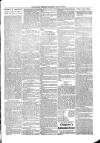 Kildare Observer and Eastern Counties Advertiser Saturday 30 March 1901 Page 7