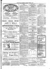 Kildare Observer and Eastern Counties Advertiser Saturday 13 April 1901 Page 3