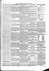 Kildare Observer and Eastern Counties Advertiser Saturday 20 April 1901 Page 5