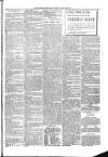 Kildare Observer and Eastern Counties Advertiser Saturday 20 April 1901 Page 7