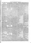 Kildare Observer and Eastern Counties Advertiser Saturday 27 April 1901 Page 7