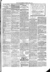 Kildare Observer and Eastern Counties Advertiser Saturday 11 May 1901 Page 7