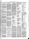 Kildare Observer and Eastern Counties Advertiser Saturday 13 July 1901 Page 5