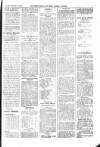 Kildare Observer and Eastern Counties Advertiser Saturday 14 September 1901 Page 5