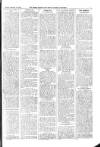 Kildare Observer and Eastern Counties Advertiser Saturday 14 September 1901 Page 7