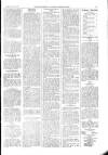 Kildare Observer and Eastern Counties Advertiser Saturday 23 November 1901 Page 5