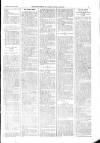 Kildare Observer and Eastern Counties Advertiser Saturday 23 November 1901 Page 7