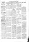 Kildare Observer and Eastern Counties Advertiser Saturday 14 December 1901 Page 5