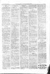 Kildare Observer and Eastern Counties Advertiser Saturday 14 December 1901 Page 7