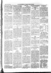 Kildare Observer and Eastern Counties Advertiser Saturday 11 January 1902 Page 5