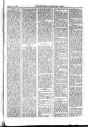 Kildare Observer and Eastern Counties Advertiser Saturday 11 January 1902 Page 7