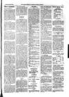 Kildare Observer and Eastern Counties Advertiser Saturday 25 January 1902 Page 5