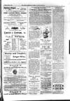 Kildare Observer and Eastern Counties Advertiser Saturday 01 February 1902 Page 3