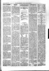 Kildare Observer and Eastern Counties Advertiser Saturday 01 February 1902 Page 5