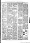 Kildare Observer and Eastern Counties Advertiser Saturday 01 February 1902 Page 7
