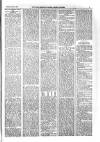 Kildare Observer and Eastern Counties Advertiser Saturday 15 February 1902 Page 7