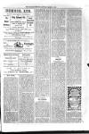 Kildare Observer and Eastern Counties Advertiser Saturday 01 March 1902 Page 3