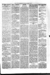 Kildare Observer and Eastern Counties Advertiser Saturday 01 March 1902 Page 5