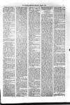 Kildare Observer and Eastern Counties Advertiser Saturday 01 March 1902 Page 7