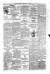 Kildare Observer and Eastern Counties Advertiser Saturday 17 May 1902 Page 3