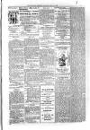 Kildare Observer and Eastern Counties Advertiser Saturday 24 May 1902 Page 3