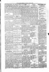 Kildare Observer and Eastern Counties Advertiser Saturday 24 May 1902 Page 5