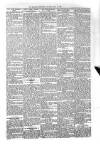 Kildare Observer and Eastern Counties Advertiser Saturday 24 May 1902 Page 7