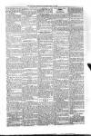 Kildare Observer and Eastern Counties Advertiser Saturday 31 May 1902 Page 7