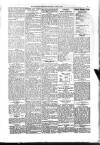 Kildare Observer and Eastern Counties Advertiser Saturday 07 June 1902 Page 5