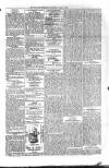 Kildare Observer and Eastern Counties Advertiser Saturday 05 July 1902 Page 3