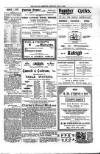 Kildare Observer and Eastern Counties Advertiser Saturday 05 July 1902 Page 6