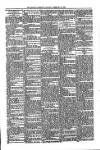 Kildare Observer and Eastern Counties Advertiser Saturday 21 February 1903 Page 7