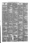 Kildare Observer and Eastern Counties Advertiser Saturday 07 March 1903 Page 7