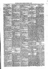 Kildare Observer and Eastern Counties Advertiser Saturday 05 November 1904 Page 3