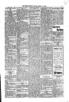 Kildare Observer and Eastern Counties Advertiser Saturday 04 February 1905 Page 7