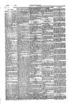 Kildare Observer and Eastern Counties Advertiser Saturday 11 March 1905 Page 3