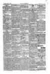 Kildare Observer and Eastern Counties Advertiser Saturday 11 March 1905 Page 7