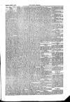 Kildare Observer and Eastern Counties Advertiser Saturday 06 January 1906 Page 7