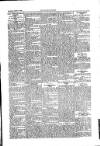 Kildare Observer and Eastern Counties Advertiser Saturday 17 March 1906 Page 3