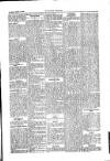 Kildare Observer and Eastern Counties Advertiser Saturday 17 March 1906 Page 5