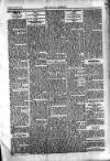 Kildare Observer and Eastern Counties Advertiser Saturday 05 January 1907 Page 5