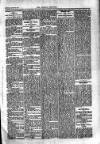 Kildare Observer and Eastern Counties Advertiser Saturday 12 January 1907 Page 7