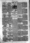 Kildare Observer and Eastern Counties Advertiser Saturday 09 February 1907 Page 3