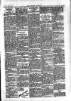 Kildare Observer and Eastern Counties Advertiser Saturday 16 March 1907 Page 2