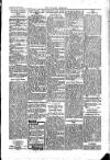 Kildare Observer and Eastern Counties Advertiser Saturday 03 August 1907 Page 3