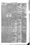 Kildare Observer and Eastern Counties Advertiser Saturday 03 August 1907 Page 7