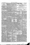 Kildare Observer and Eastern Counties Advertiser Saturday 24 August 1907 Page 3