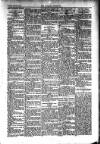 Kildare Observer and Eastern Counties Advertiser Saturday 11 January 1908 Page 7