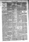 Kildare Observer and Eastern Counties Advertiser Saturday 15 January 1910 Page 3